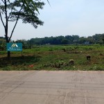 Untitled design (12)