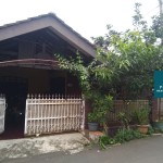 Untitled design (12)