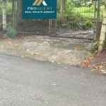 Untitled design (13)