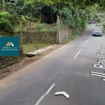 Untitled design (13)