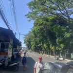 WhatsApp Image 2023-06-09 at 09.48.27