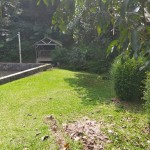 WhatsApp Image 2023-06-21 at 17.10.21