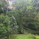 WhatsApp Image 2023-06-21 at 17.10.28