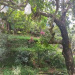 WhatsApp Image 2023-06-21 at 17.10.31 (1)