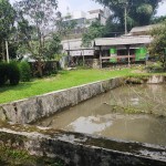 WhatsApp Image 2023-06-21 at 17.10.31