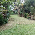 WhatsApp Image 2023-06-23 at 13.26.35