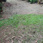 WhatsApp Image 2023-06-23 at 13.26.36 (1)