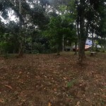 WhatsApp Image 2023-06-23 at 13.26.37 (1)