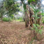 WhatsApp Image 2023-06-23 at 13.26.38