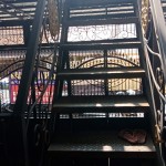 WhatsApp Image 2023-06-26 at 11.47.31