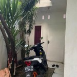 WhatsApp Image 2023-03-29 at 10.03.46 AM