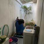 WhatsApp Image 2023-03-29 at 10.03.47 AM