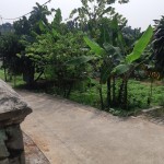 WhatsApp Image 2023-07-10 at 13.36.12 (1)