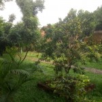 WhatsApp Image 2023-07-16 at 17.58.34