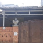 snapedit_1688182529765