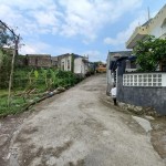 snapedit_1688611917546