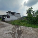 snapedit_1688611958814