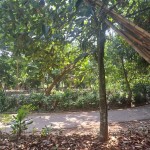 WhatsApp Image 2023-08-02 at 21.34.54