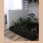 WhatsApp Image 2023-08-03 at 11.04.19 (1)