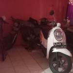 WhatsApp Image 2023-08-09 at 09.37.41