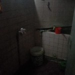 WhatsApp Image 2023-08-09 at 09.37.44