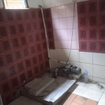 WhatsApp Image 2023-08-12 at 11.50.20