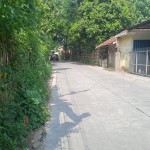WhatsApp Image 2023-08-12 at 11.50.25