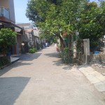 WhatsApp Image 2023-08-12 at 11.51.46