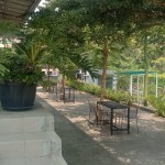 WhatsApp Image 2023-08-12 at 13.08.17 (1)