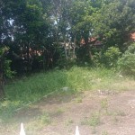 WhatsApp Image 2023-08-18 at 12.29.32