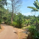 snapedit_1691133590925