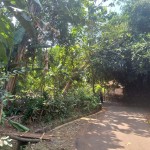 snapedit_1691133650501