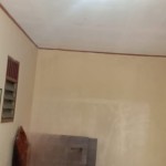 snapedit_1691220610774