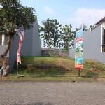 snapedit_1692610688080