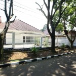 snapedit_1692689940038