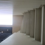 IMG_5784