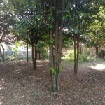 WhatsApp Image 2023-09-02 at 11.32.23