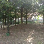 WhatsApp Image 2023-09-02 at 11.32.24