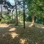 WhatsApp Image 2023-09-02 at 11.32.25