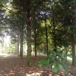 WhatsApp Image 2023-09-02 at 11.32.26