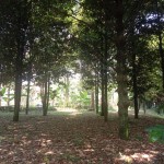 WhatsApp Image 2023-09-02 at 11.32.27