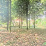 WhatsApp Image 2023-09-02 at 11.32.28