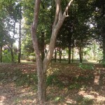 WhatsApp Image 2023-09-02 at 11.32.30