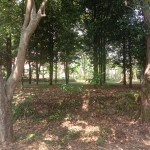 WhatsApp Image 2023-09-02 at 11.32.31