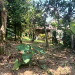 WhatsApp Image 2023-09-02 at 11.32.32