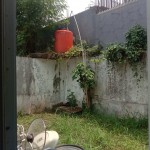 WhatsApp Image 2023-09-03 at 11.55.13 (1)
