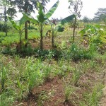 WhatsApp Image 2023-09-04 at 16.02.42