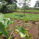 WhatsApp Image 2023-09-04 at 16.02.43 (2)