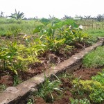 WhatsApp Image 2023-09-04 at 16.02.44