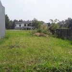 WhatsApp Image 2023-09-09 at 10.50.02